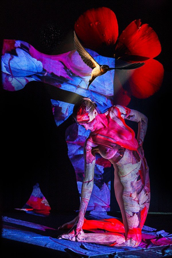 Bruce Rowles Photography - women in red leaves